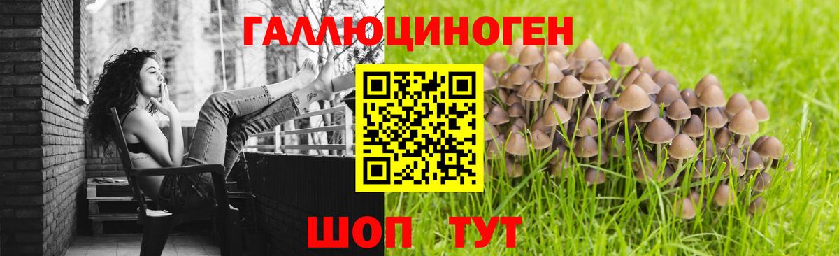 Галлюциногенные грибы GOLDEN TEACHER  Вход с VPN  Саяногорск 